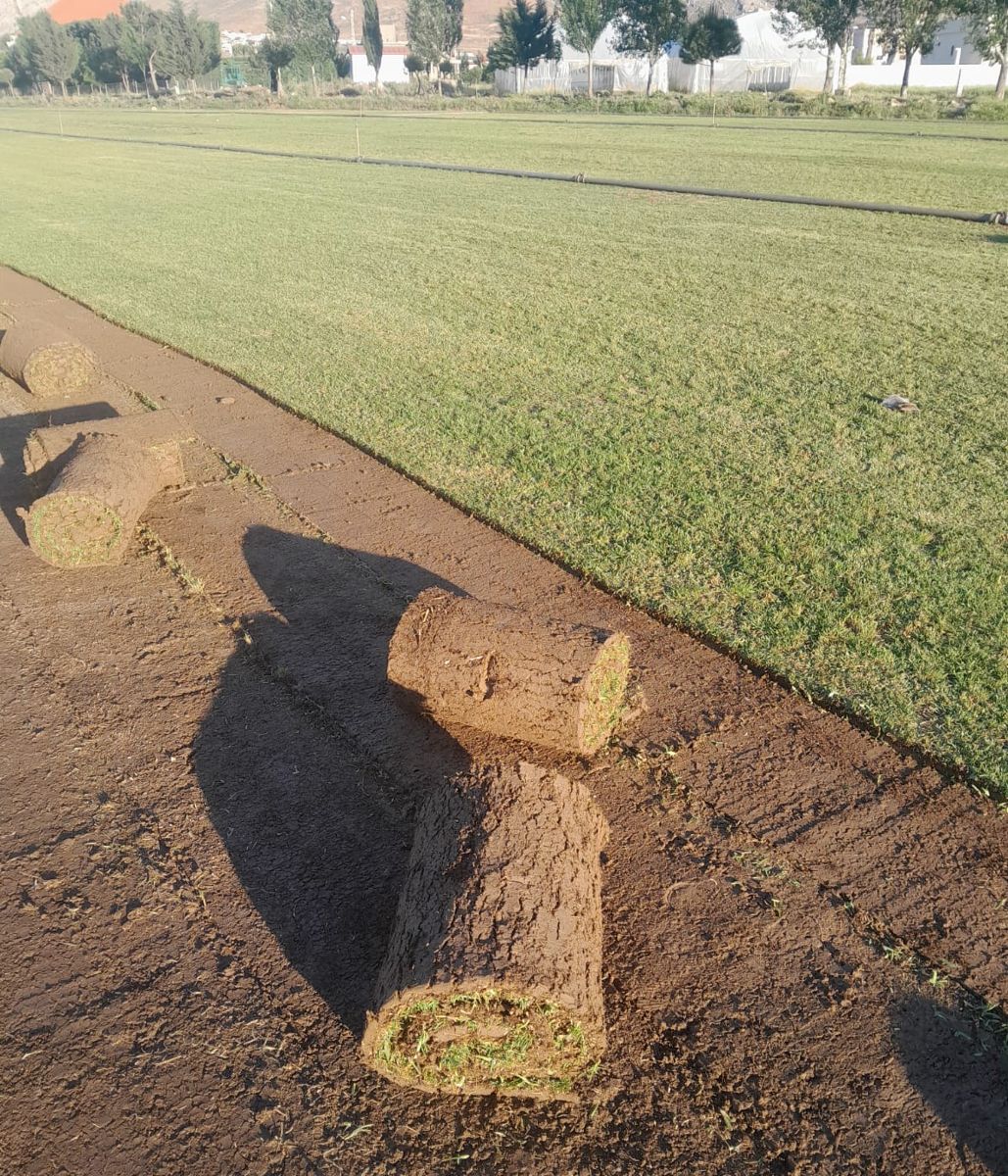 Rolled turf on the cut strip beside the green field