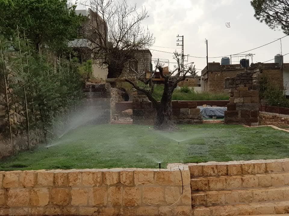 Sprinklers watering a lawn