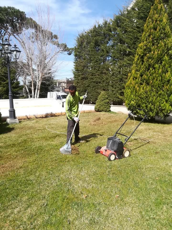 Crew member raking and aerating the lawn